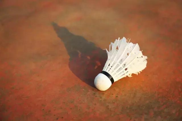 西法大青春力量,西法大