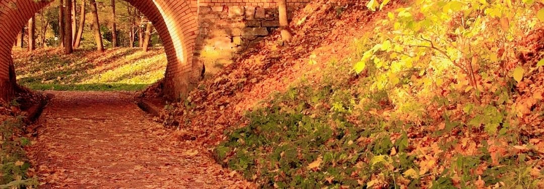 中考英语单词高频词汇总图片,中考英语首字母高频单词