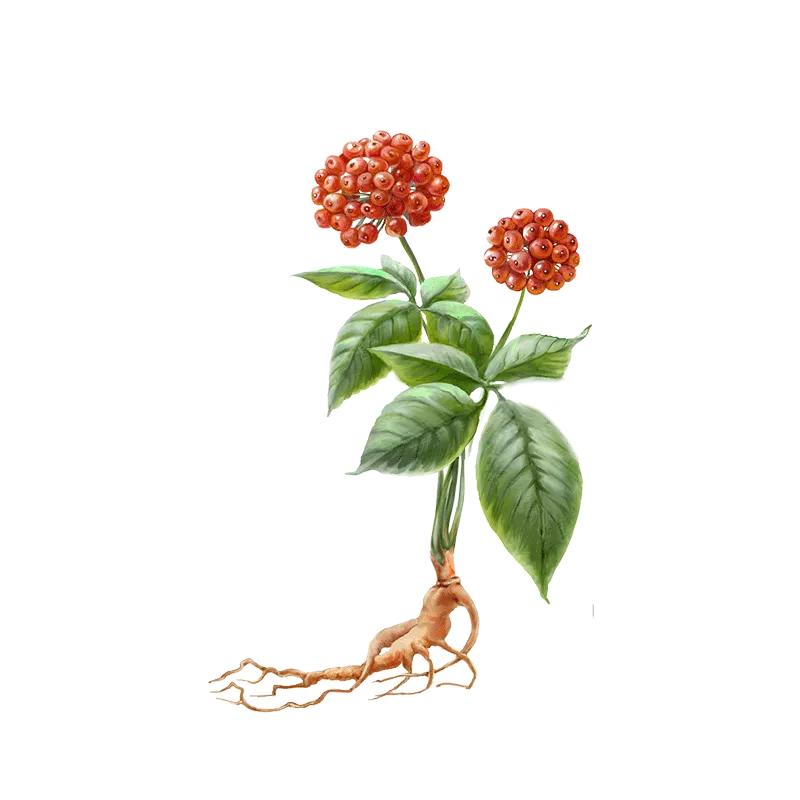 助推中医药传承创新高质量发展，吉林非遗这样做！