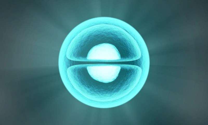 科学家通过仿生学发明了什么,科学家发明病毒再生