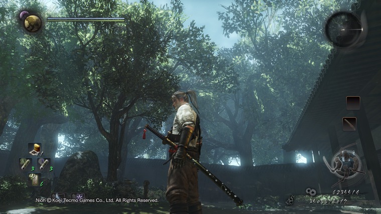 仁王大太刀武功,仁王太刀图片大全