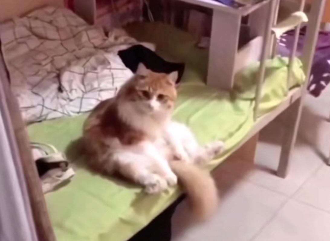 学校嚣张查寝被批评,学校临时抽查女生宿舍