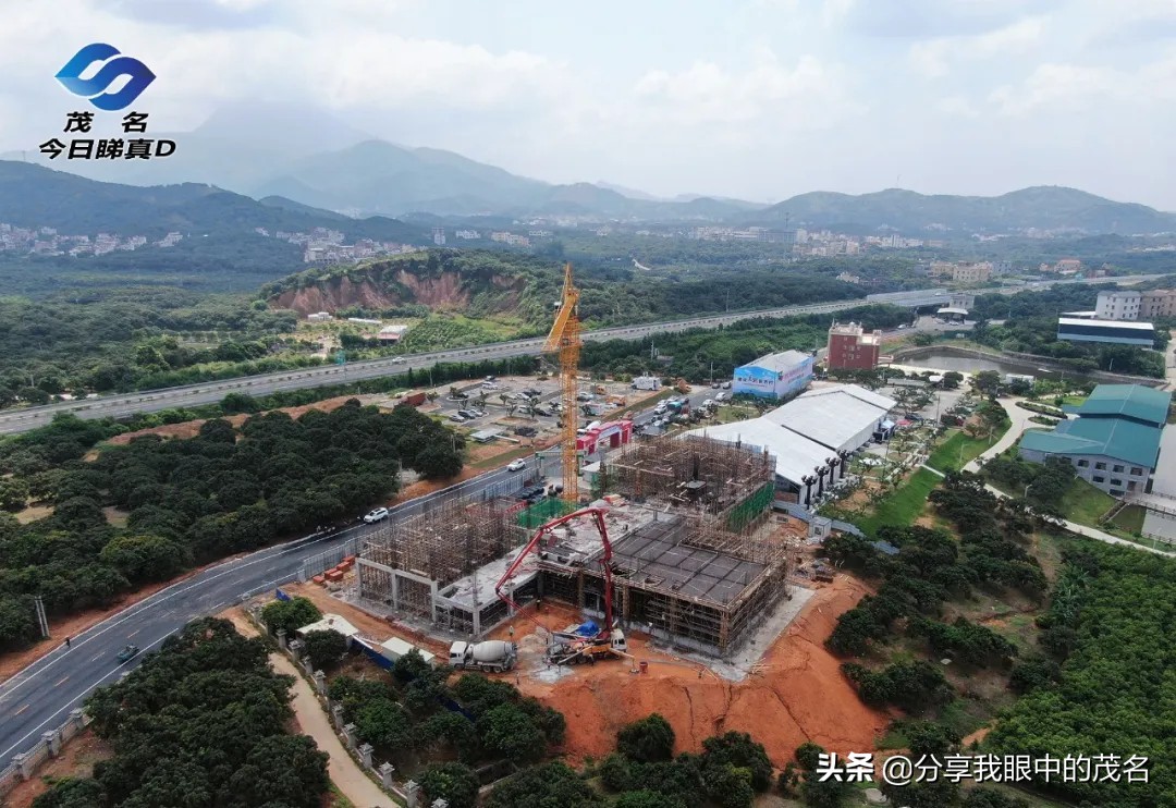 茂名荔枝大会,茂名市520荔枝产业大会