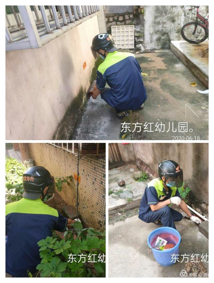 乐东县爱卫服务中心组织专业技术人员对县城各办公区和公共场所进行灭蚊防病除四害消杀