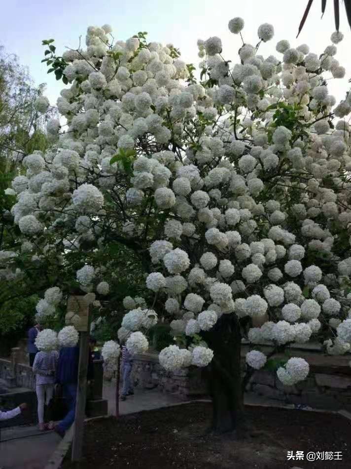 内心太空虚了怎么办,怎么样才能让自己的内心变大