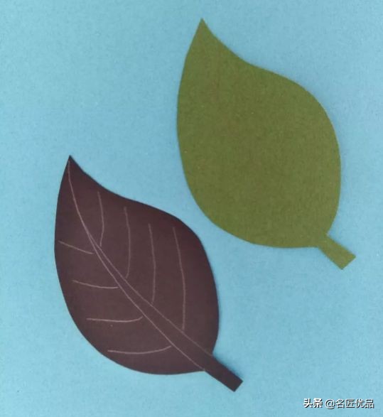 超惊艳的树叶手工,有趣的树叶手工制作