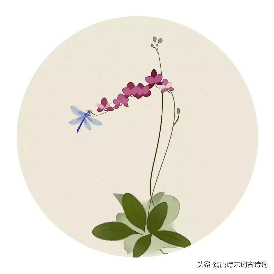 经典虞美人十首,最美虞美人十首