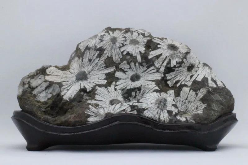 各省宝玉石图片大全,中国宝玉石分布图