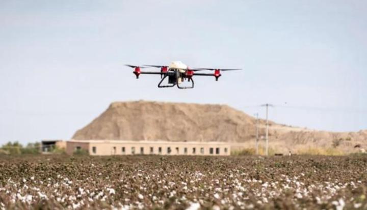 新疆棉花辟谣,辟谣新疆和田