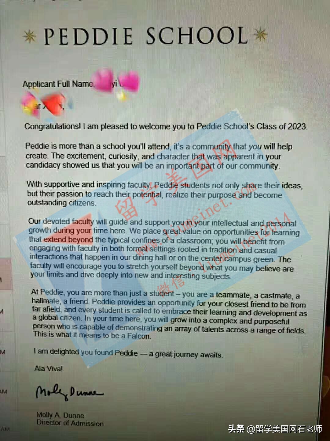 美国赛艇,赛艇美国