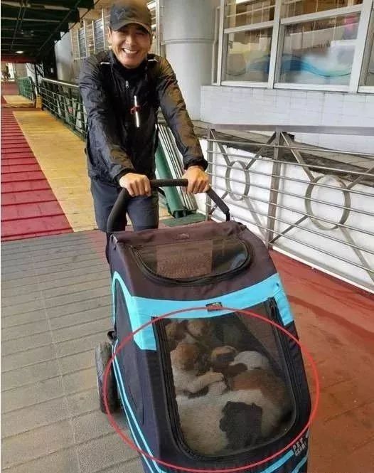 182的身高，迷人的微笑。一等的人品，一等的演技。他就是发哥