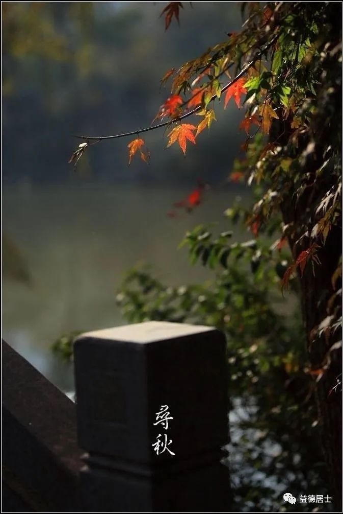 高粱立了秋再出穗还能熟吗,立了秋丢了扇全文的诗意是什么