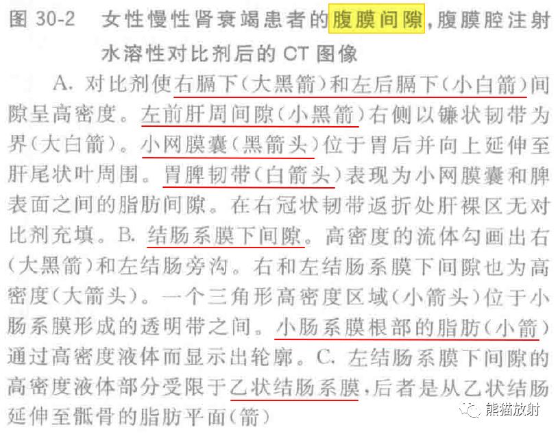 肠系膜解剖图,肠系膜解剖图解