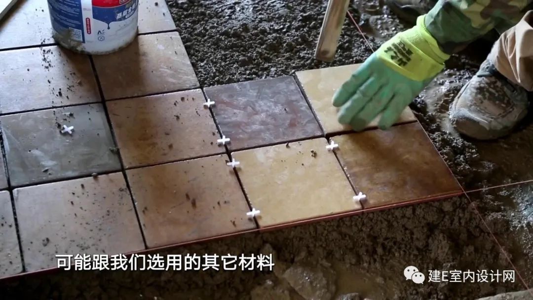 乘风破浪谢柯,谢柯个人简历