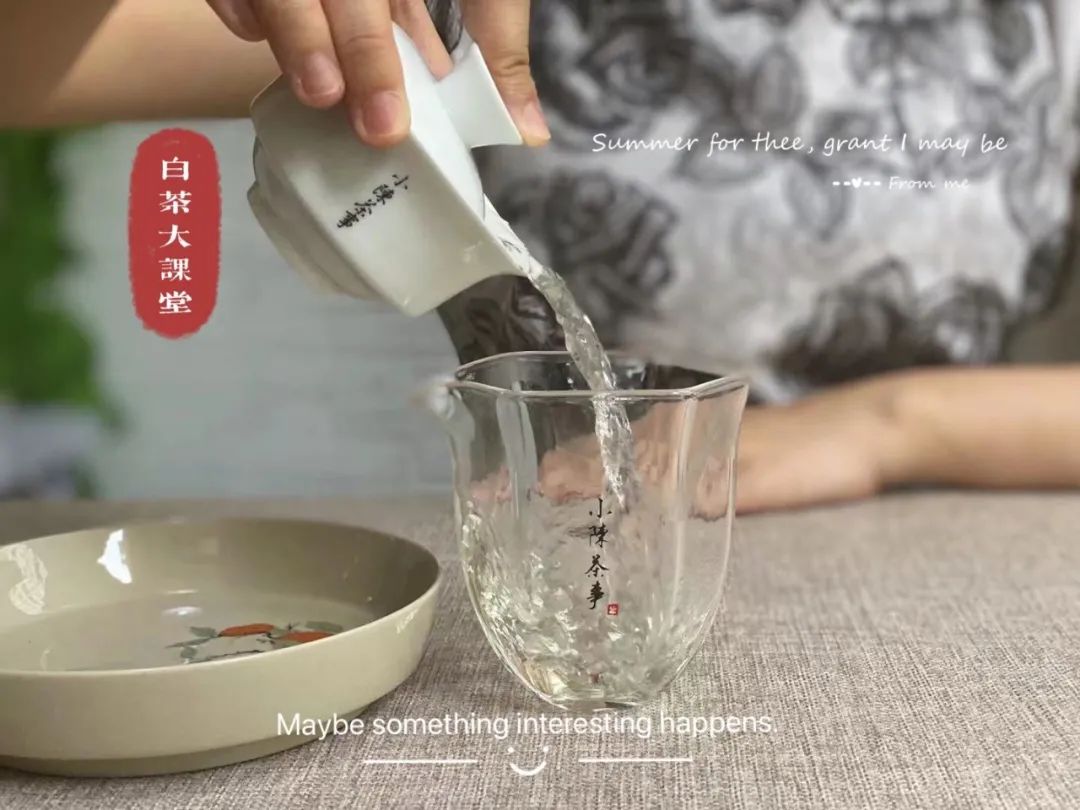 盖碗茶具的优缺点,陶盖碗适合什么茶具使用