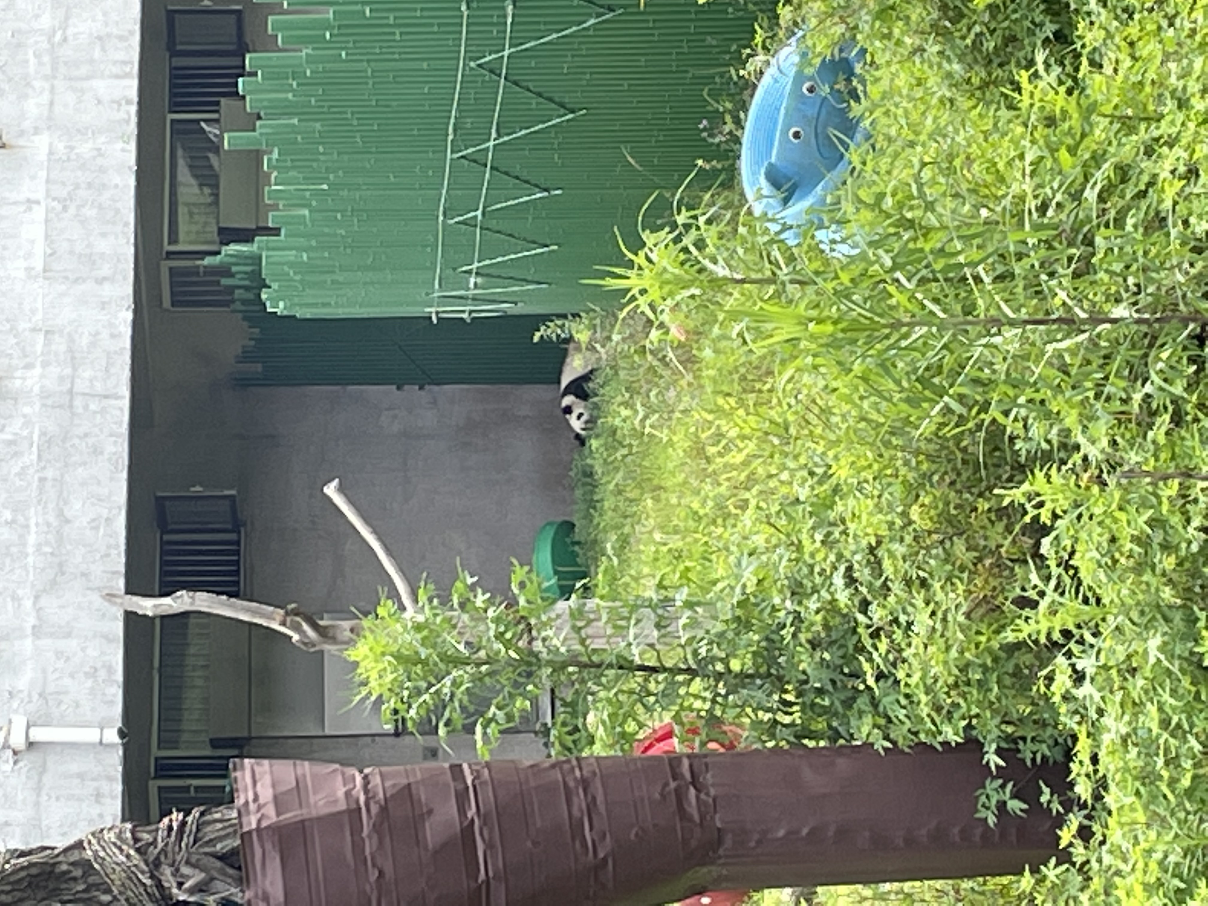 沈阳森林动物园春游,五一小长假去沈阳森林动物园游玩