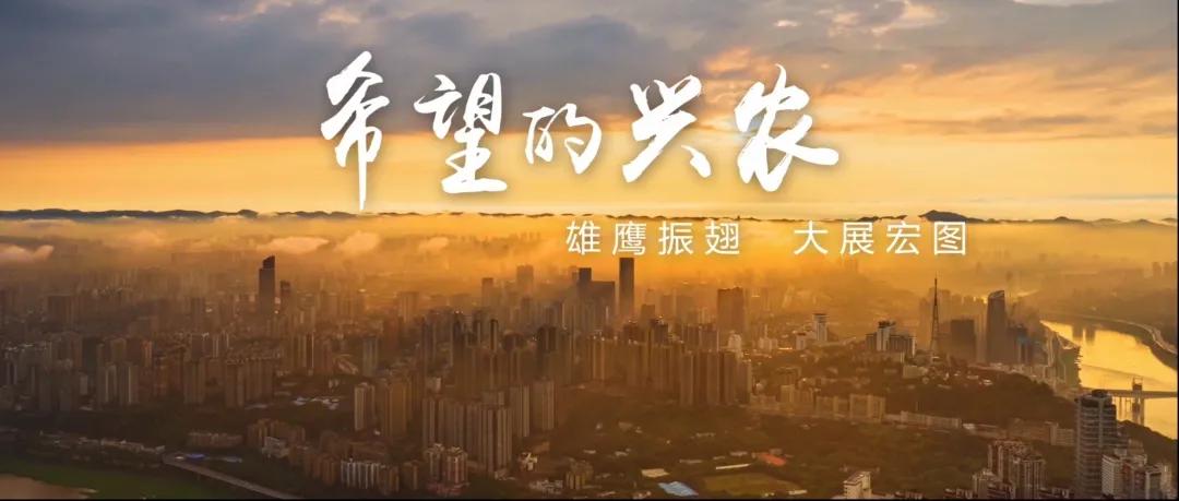 重庆市兴农担保集团,重庆兴农担保集团