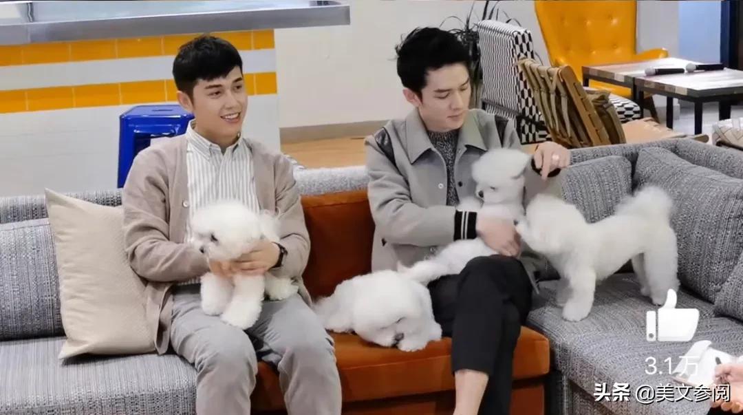 李佳琦和小助理在一起吗,李佳琦和小助理相爱相杀