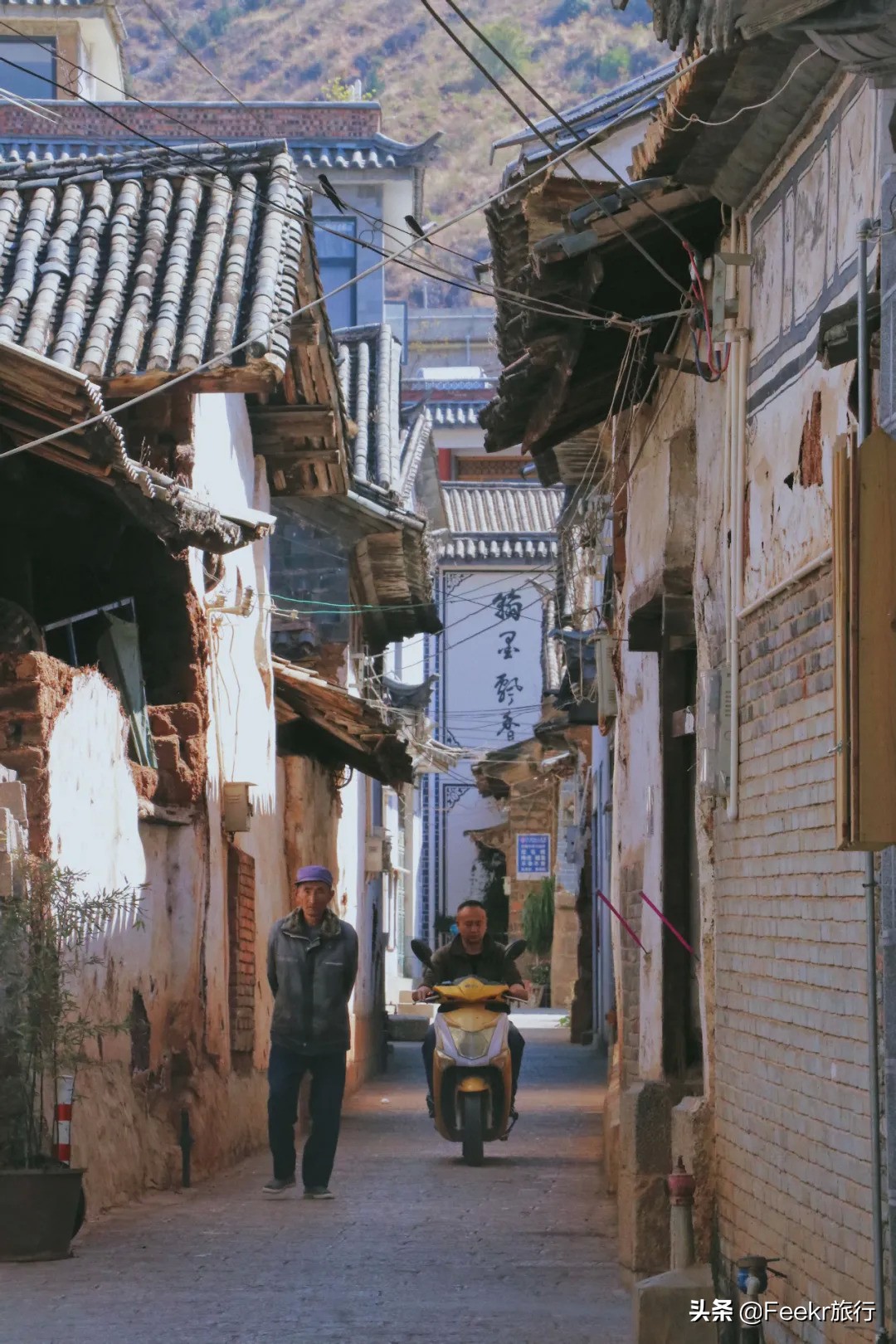 挖到了云南人都点赞的“美食线路”!菌子当道,夏季去度假正好