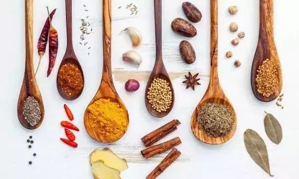 中医入门十讲,中医术语大全100句