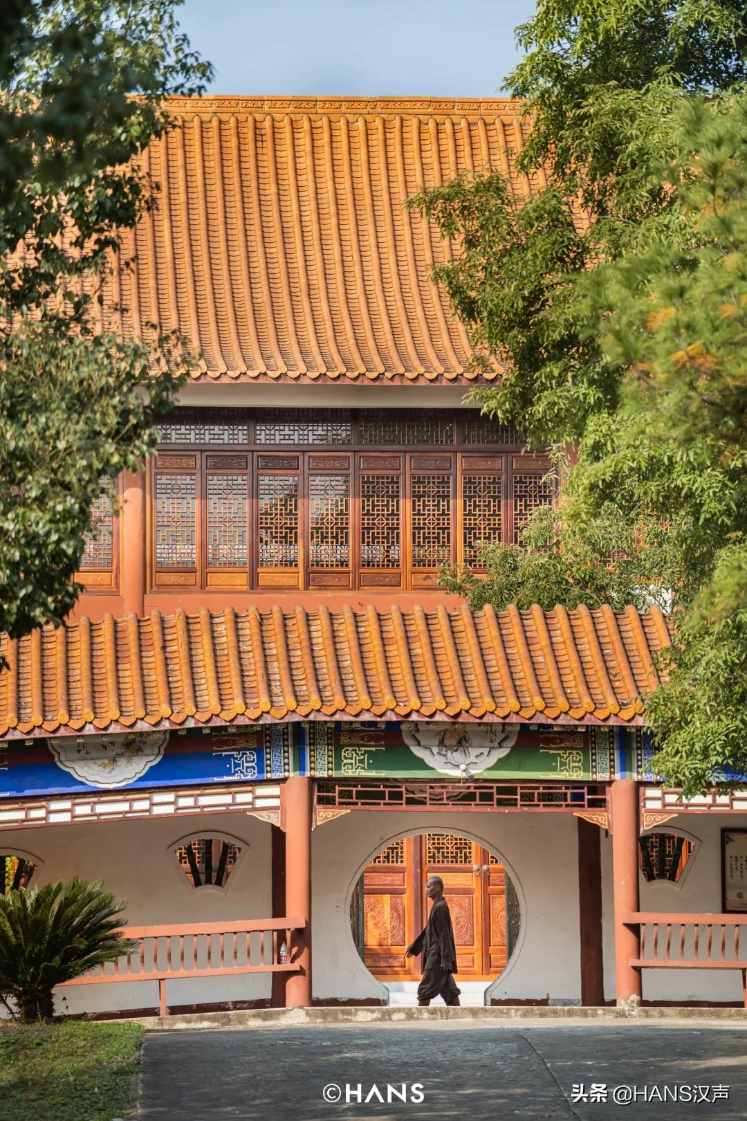 抖音网红为什么出家,灵泉寺武汉短期出家