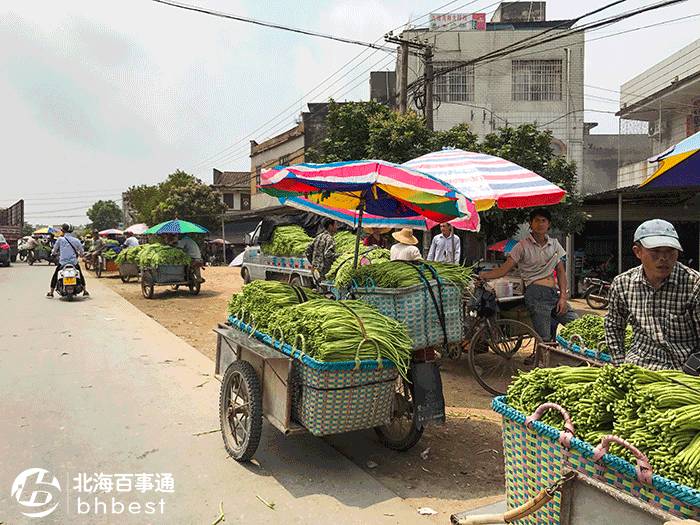 对不起，我要去石康了