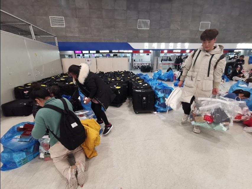 在济州岛机场，有群特殊的人群，每天都在做同一件事情