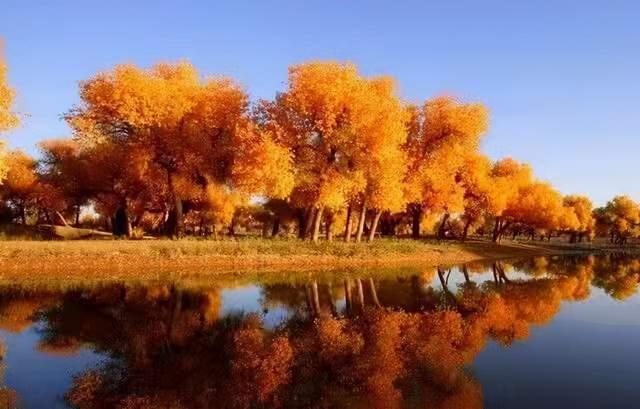 实用的工作述职报告模板汇总5篇,工作总结述职模板免费