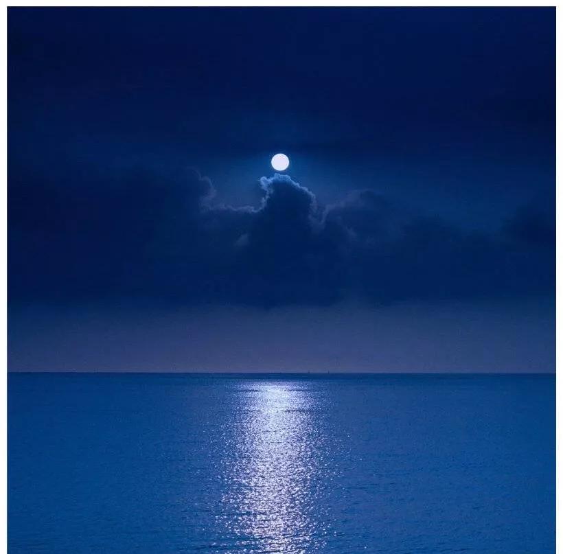 2025年流行元素,2020年流行格子元素