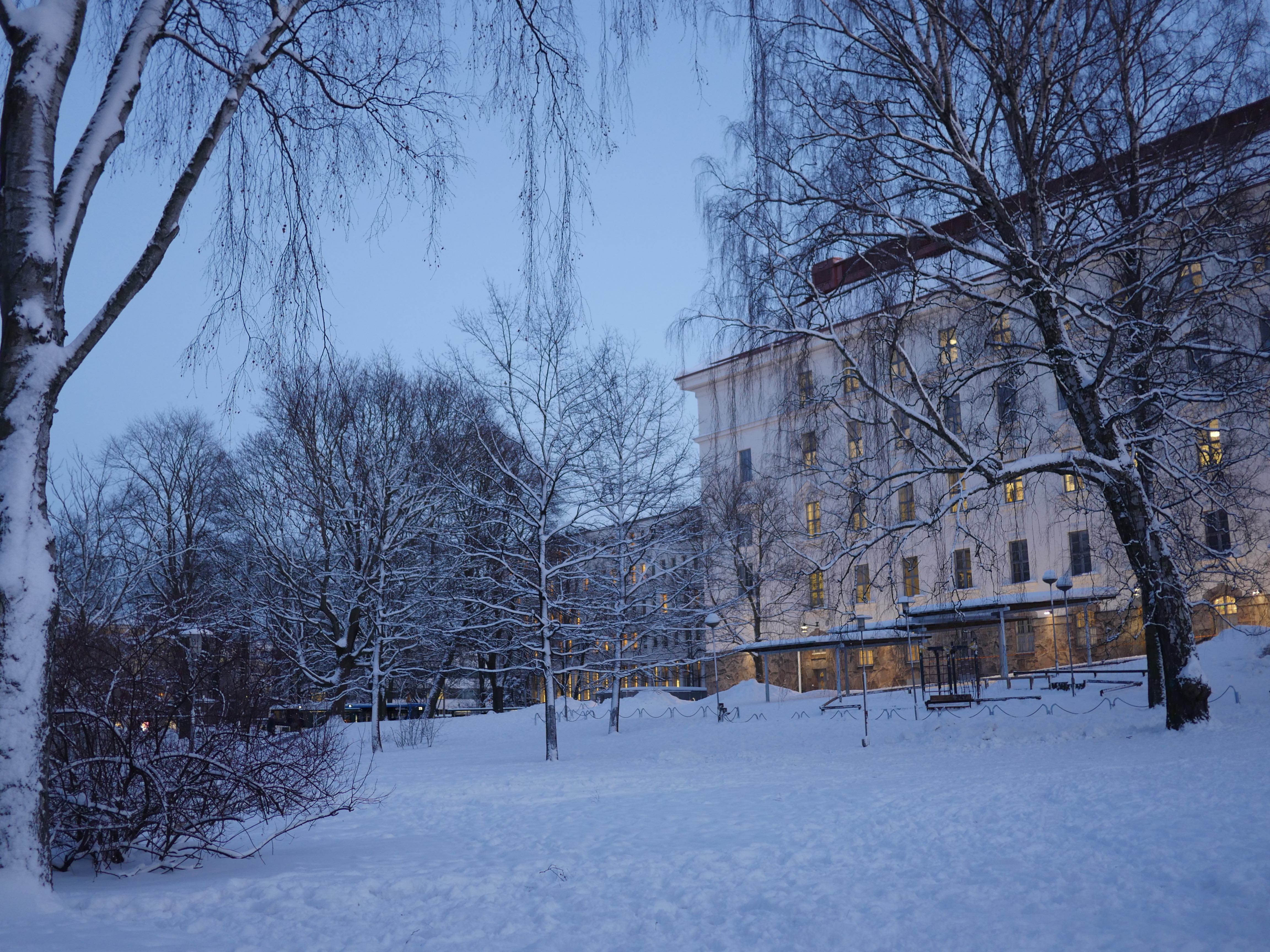 寒冬将至，2019冬季的魔力Taikatalvi-芬兰冬季文化营回顾