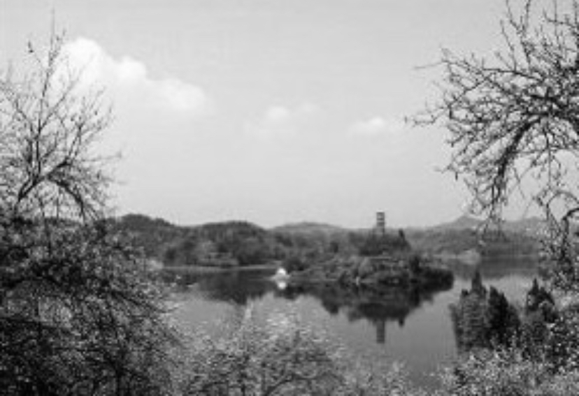 她是*动反**军阀侄女，被*德朱**感召入*党**，遭大伯杀害30年后才找到尸体