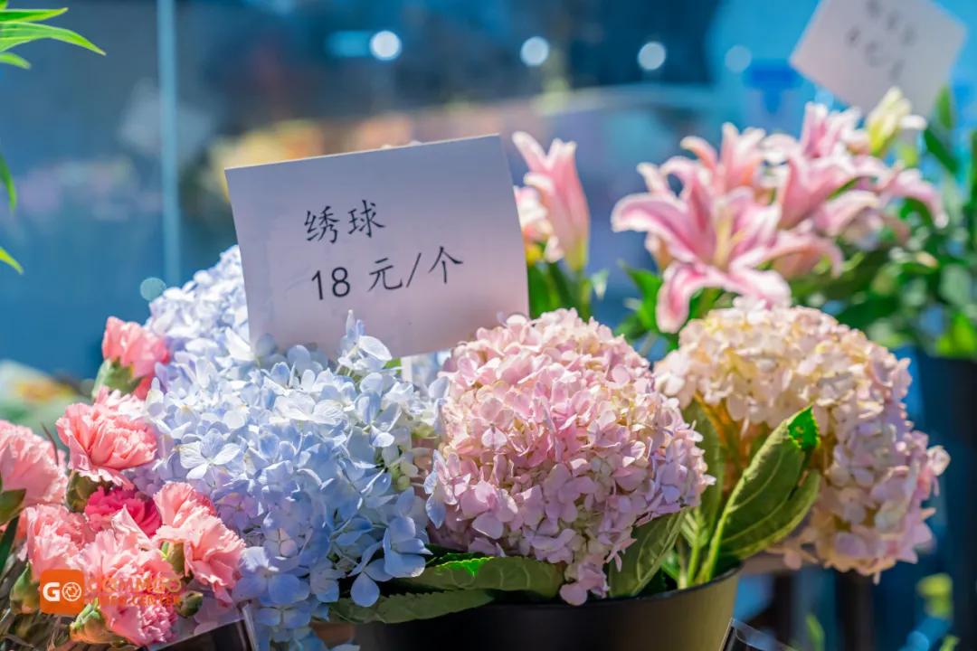 重庆花市排名前十名,重庆花市哪里最便宜