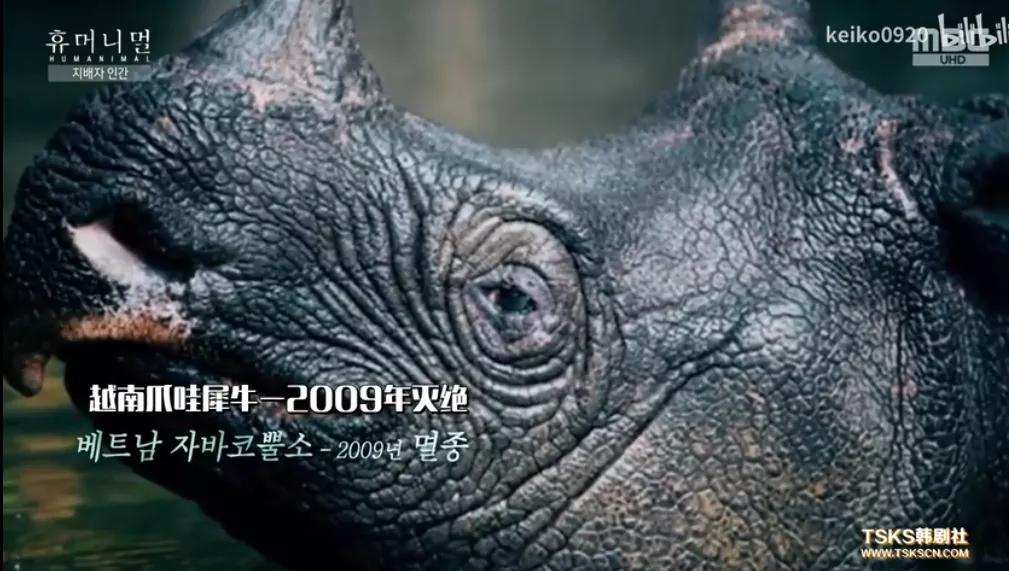 被已婚男欺骗致怀孕一尸两命,女孩儿被骗怀孕最后被杀害