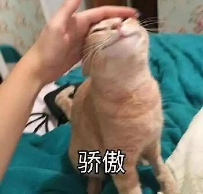 iOS捷径|WS*载下**器捷径,史上最强大的苹果短视频*载下**神器