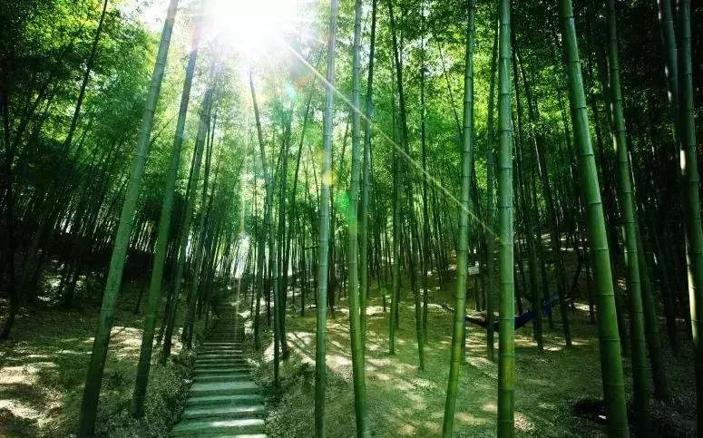 宁波复古小众酒店,宁波最有格调的酒店