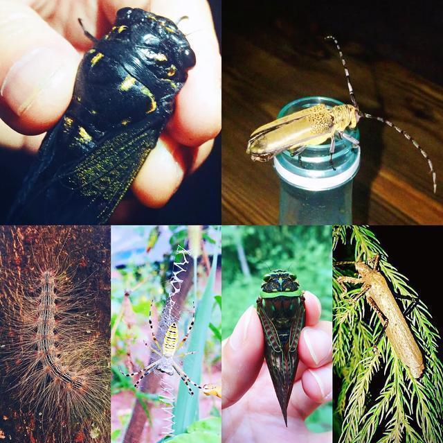 半个重庆人的感受,重庆游玩四面山到哪里玩