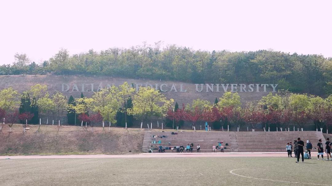 辽宁省高校（三十一）大连医科大学