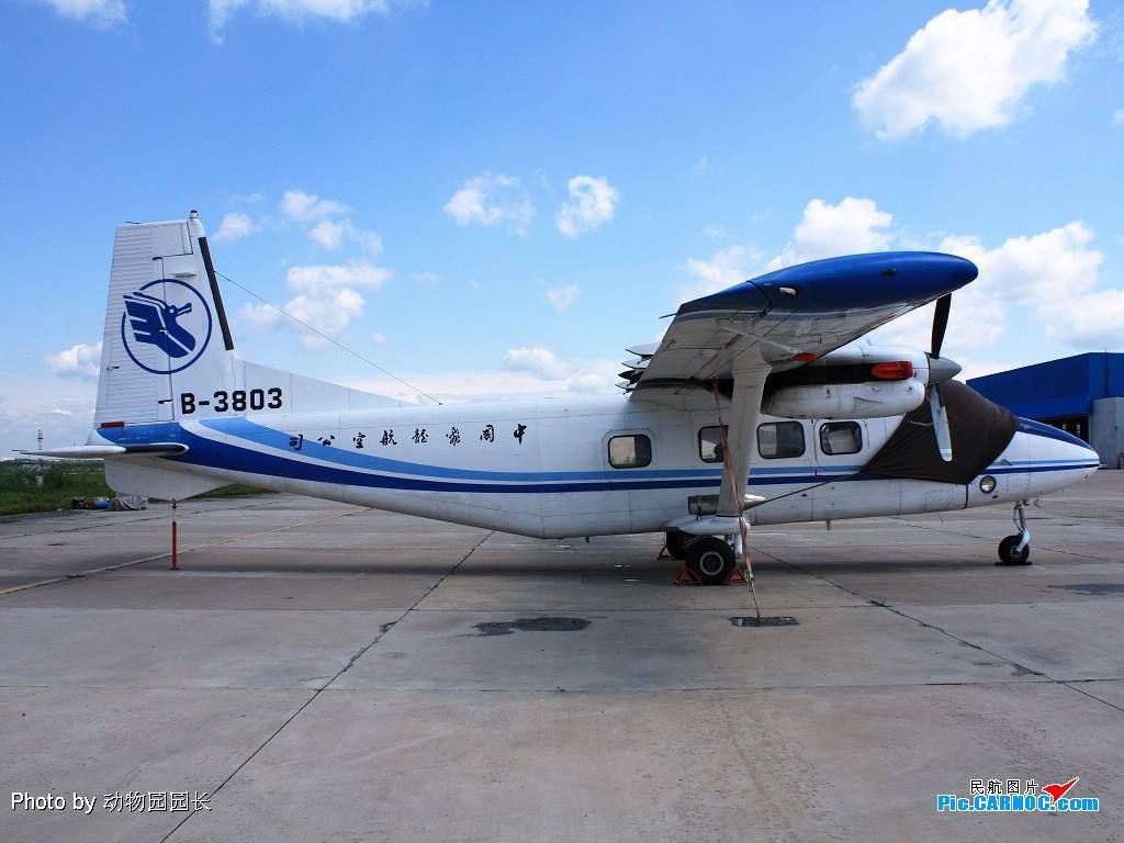 最新航空空难事故,航空空难最新结果