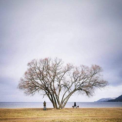 叔本华说最值得读的书,叔本华谈关于读书