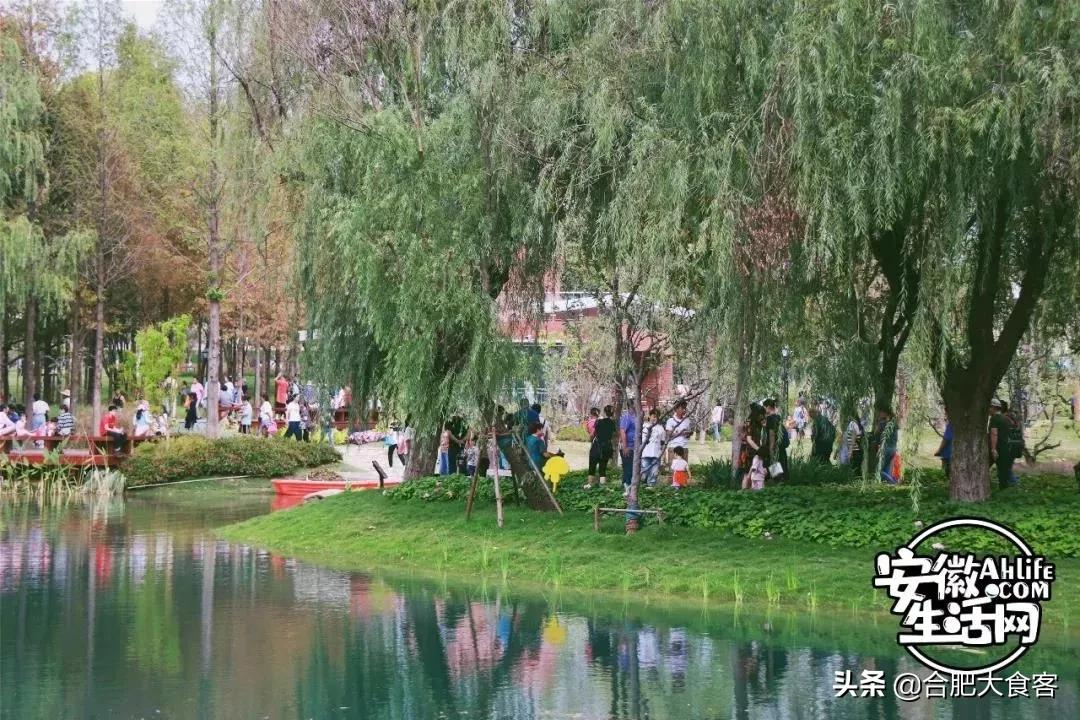 2020年，在这50个地方遇见不一样的合肥