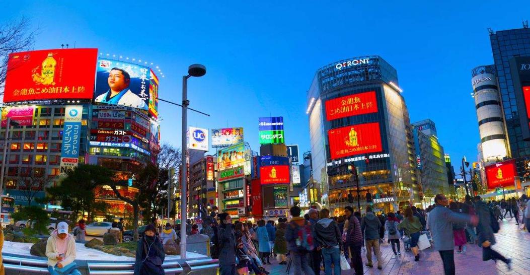 养乐多一天能赚多少钱,养乐多为什么能赚钱