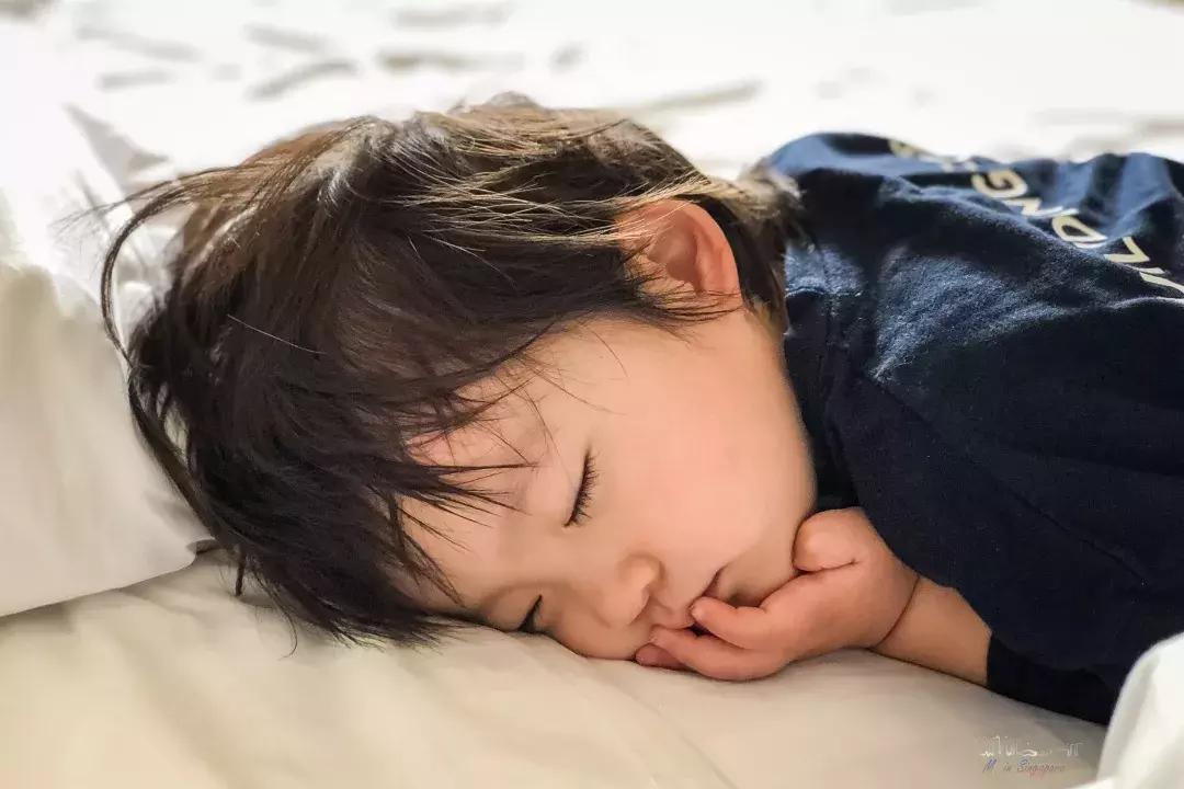 新加坡遛娃最佳地点,新加坡遛娃的好去处