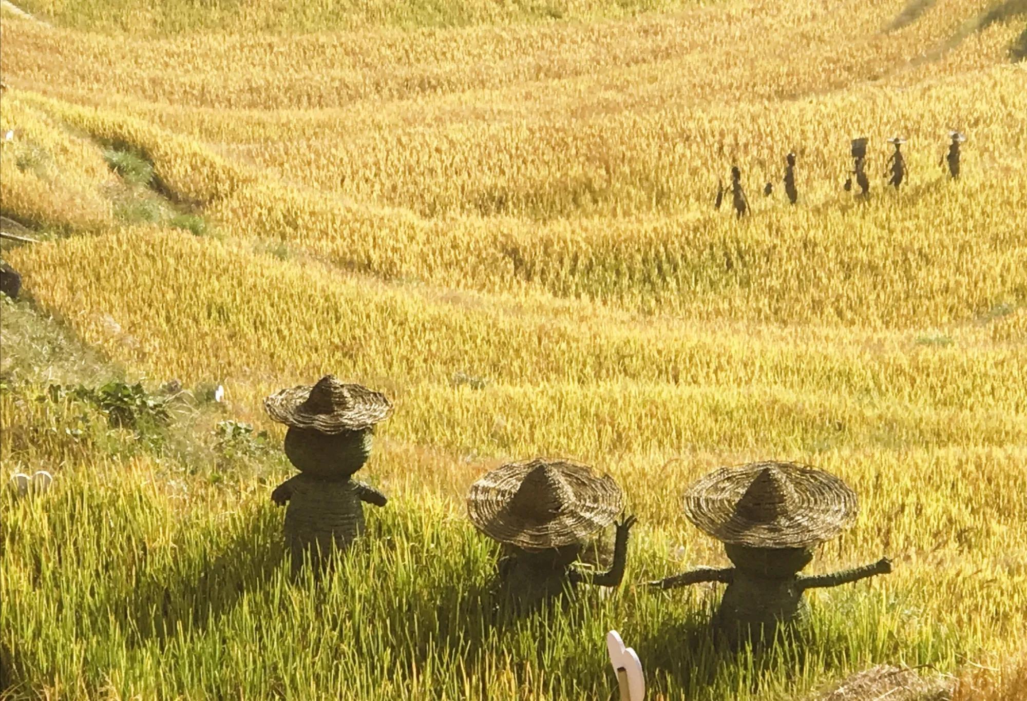 致敬国家科技进步一等奖作文,一等奖全国作文江苏