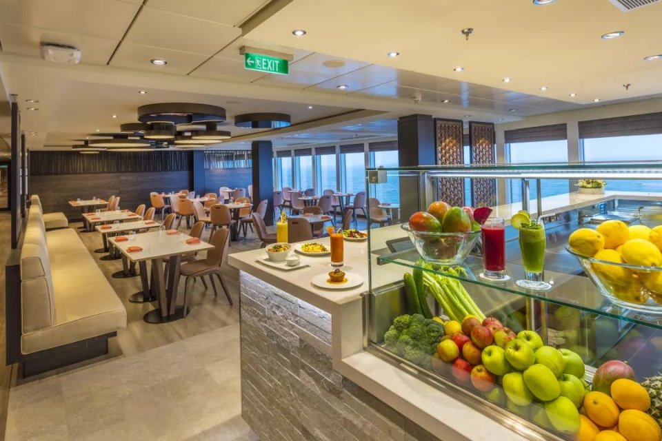 世界梦号内部游览过程 (探索梦号邮轮参观攻略)