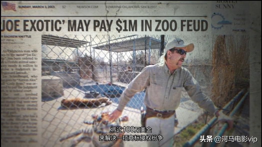 这部魔幻纪录片，在美国竟然比疫情还火！