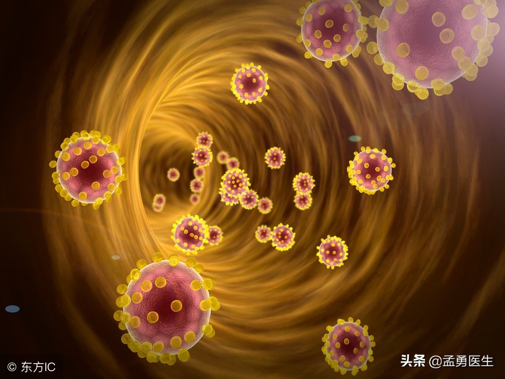 益生菌和益生元什么区别,益生元和益生菌的作用与功效区别