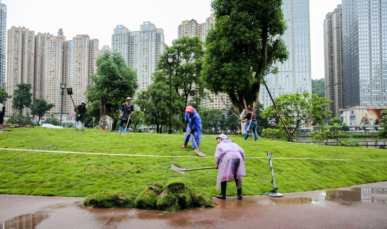 花果园湿地公园草坪,花果园湿地公园阳光草坪