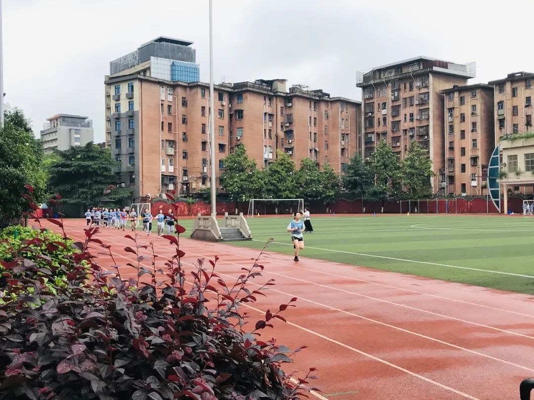 新境界智慧体育,智慧体育数字化