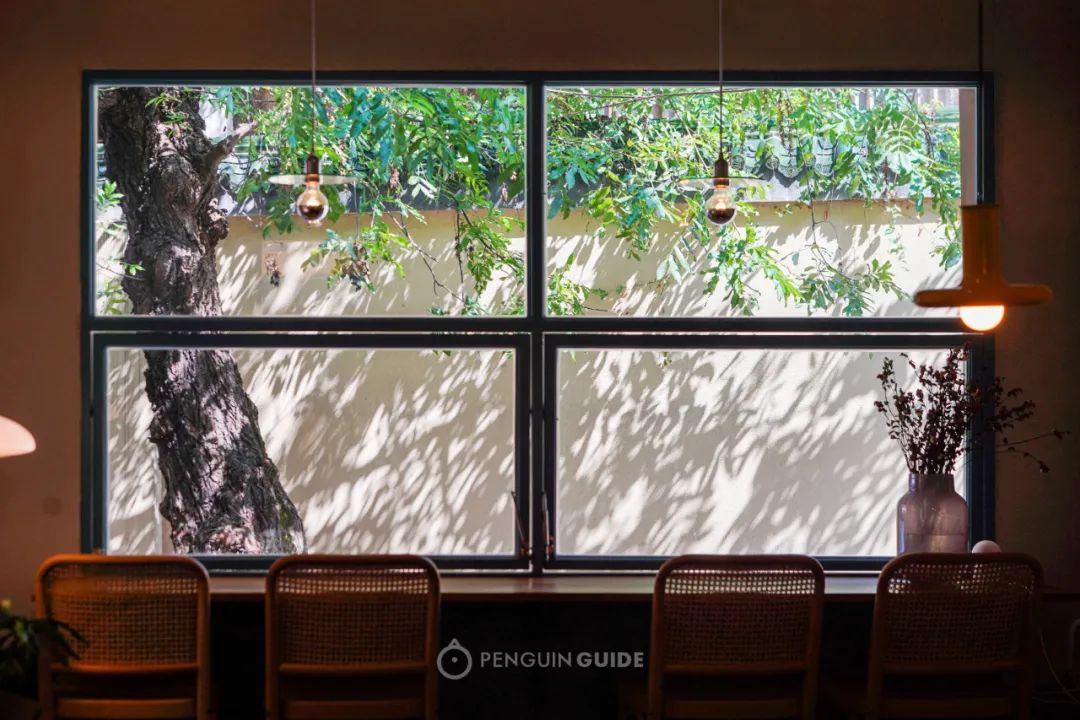 去长沙不为别的就想听茶颜悦色,去长沙点哪个茶颜悦色