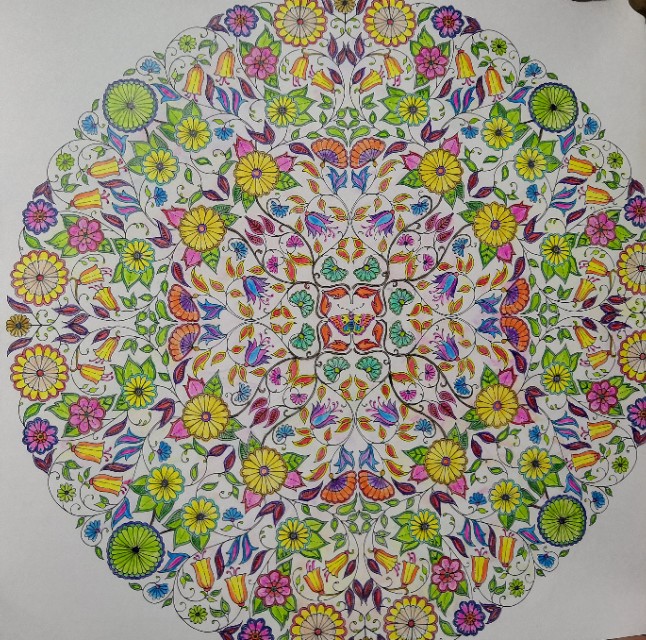 秘密花园涂色步骤教程,秘密花园涂色作品全集图片